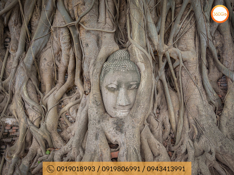 Wat Mahathat là hình ảnh đầu Phật nằm giữa bộ rễ cây cổ thụ - Du lịch 360Go